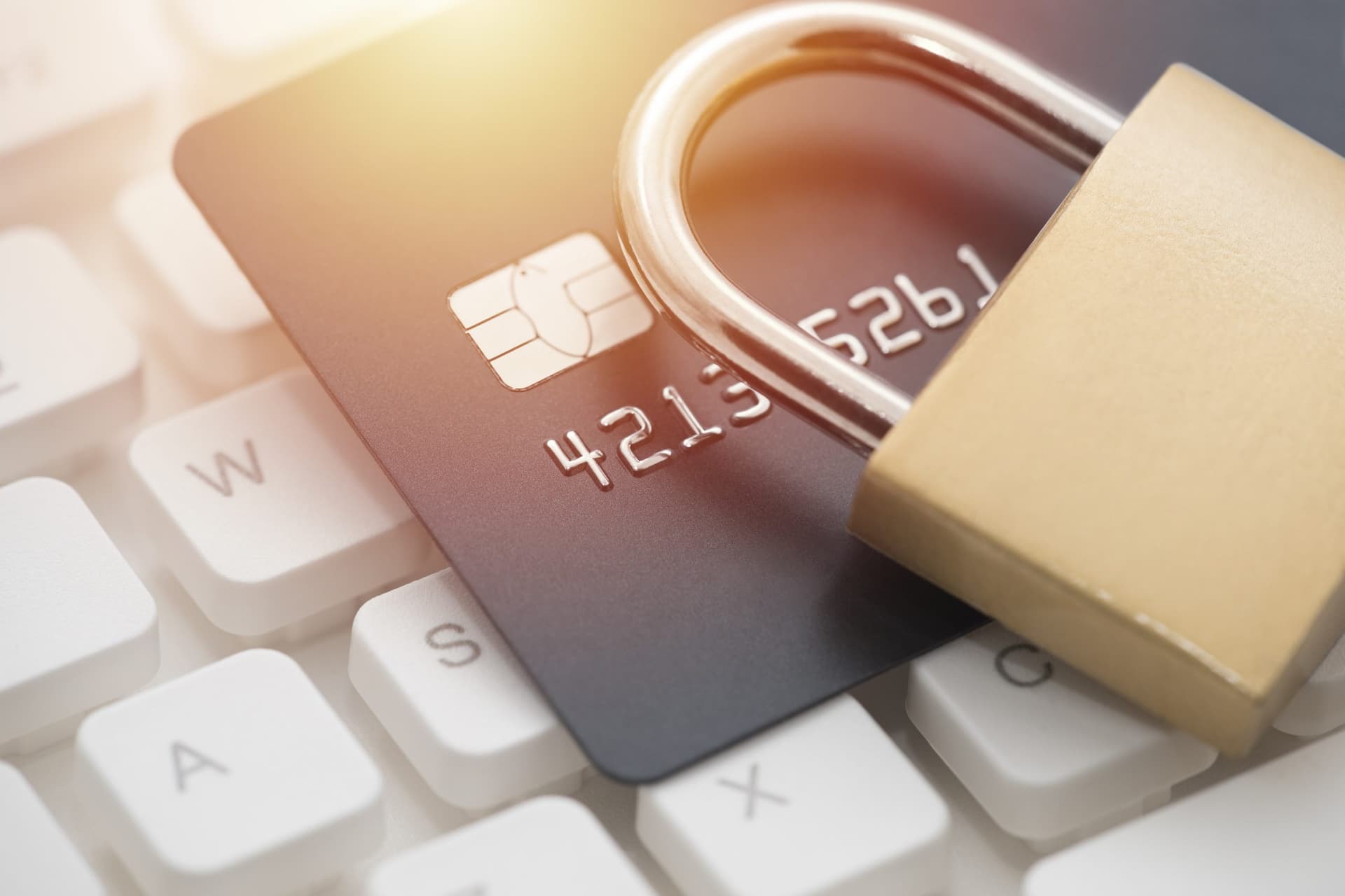 Visa Releases Fall 2024 Biannual Threats Report